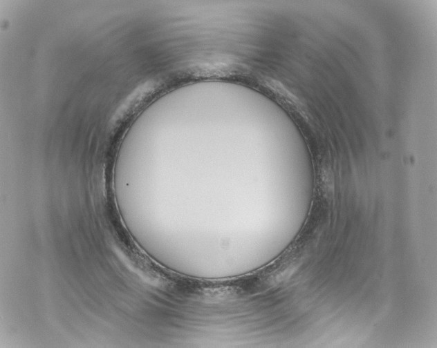 X0000072990686200608111807