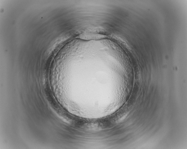 X0000072990687200608111807