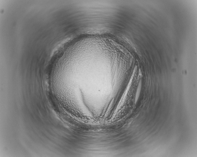 X0000072990688200608111807