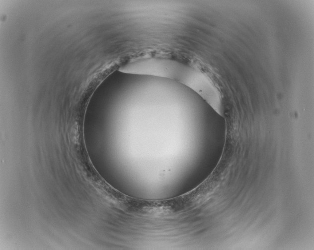 X0000072990689200608111807