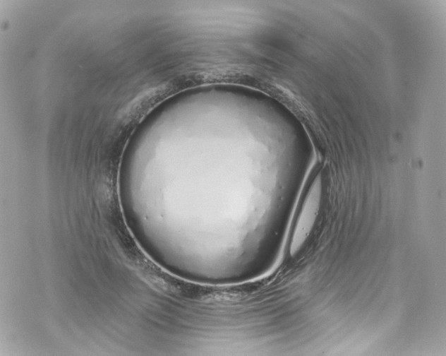 X0000072990691200608111807