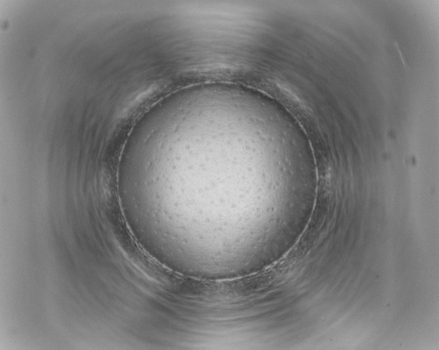 X0000072990692200608111807