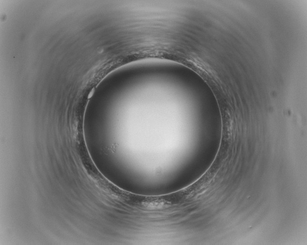 X0000072990693200608111807