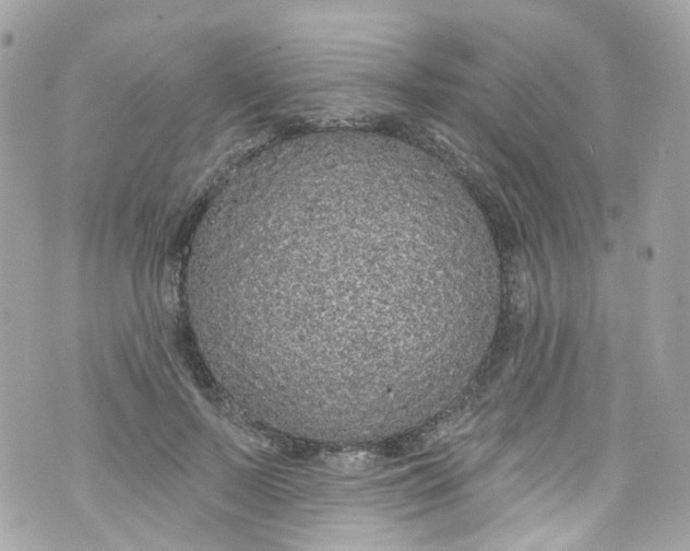 X0000072990695200608111807