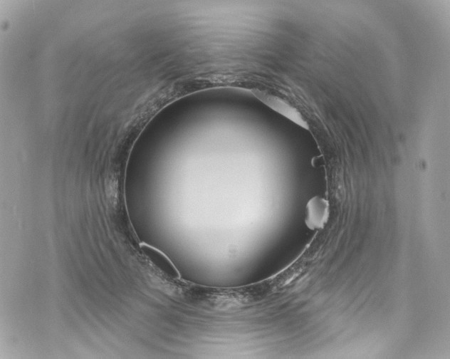 X0000072990697200608111807