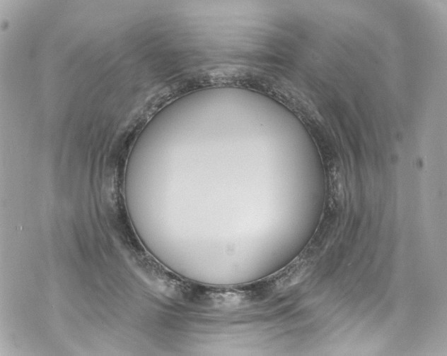 X0000072990698200608111807