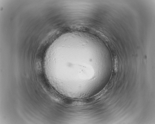 X0000072990699200608111807