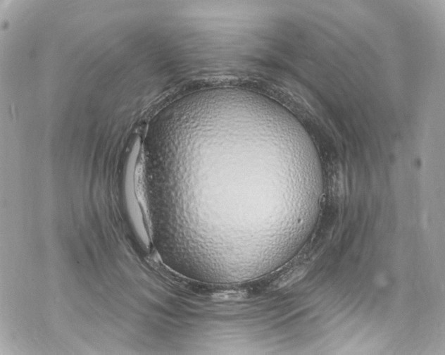 X0000072990700200608111807