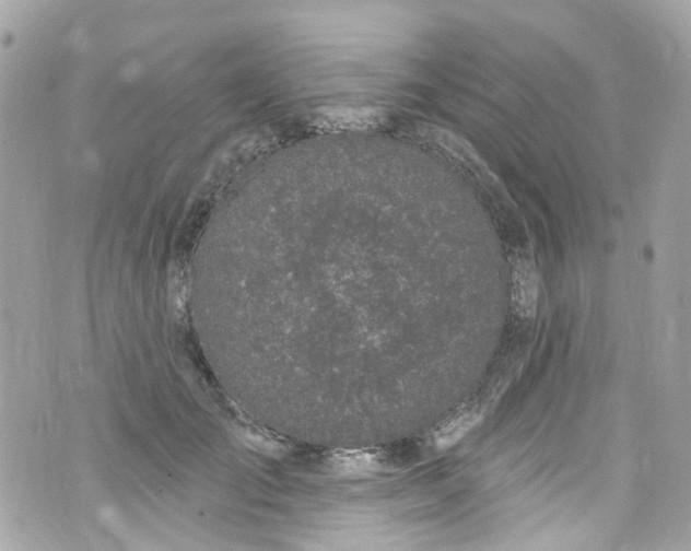 X0000072990701200608111807