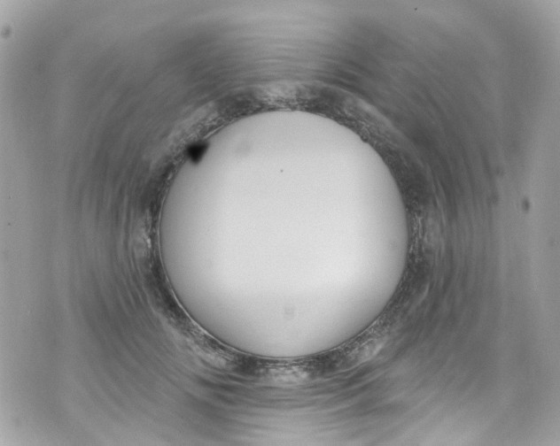 X0000072990702200608111807