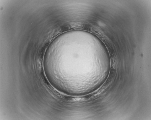 X0000072990703200608111807