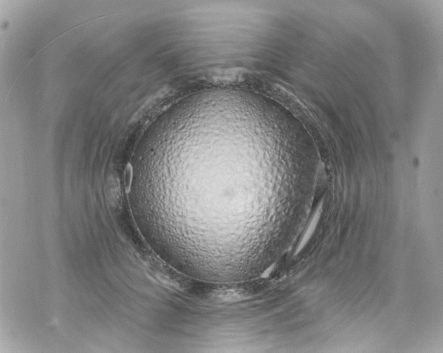 X0000072990704200608111807