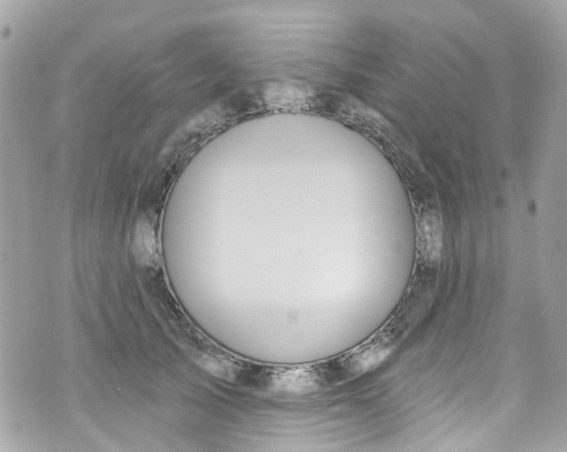 X0000072990705200608111807