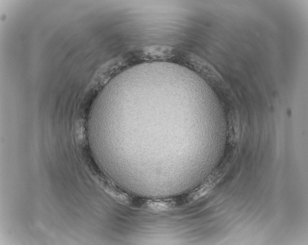 X0000072990706200608111807