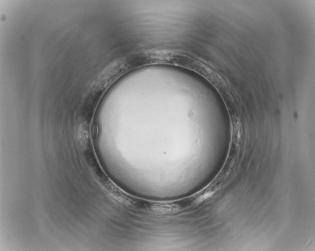 X0000072990707200608111807