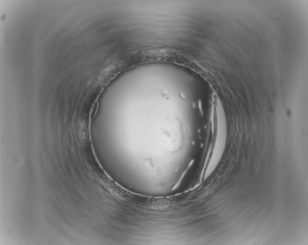 X0000072990708200608111807