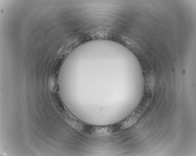 X0000072990709200608111807