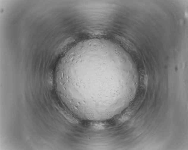 X0000072990710200608111807