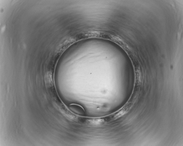 X0000072990711200608111807