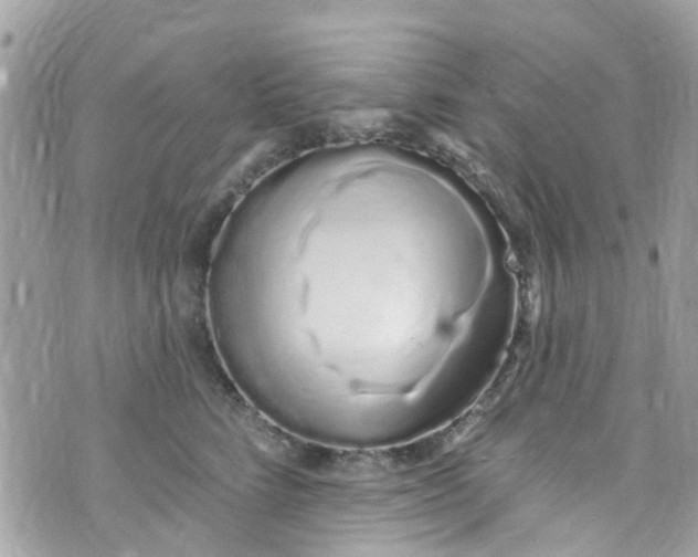 X0000072990712200608111807