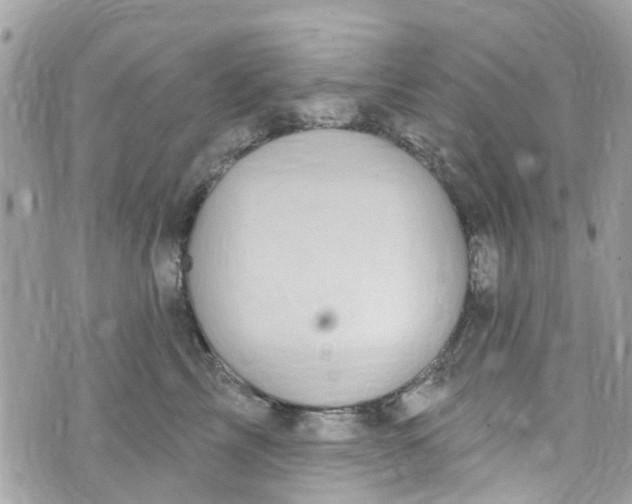 X0000072990713200608111807