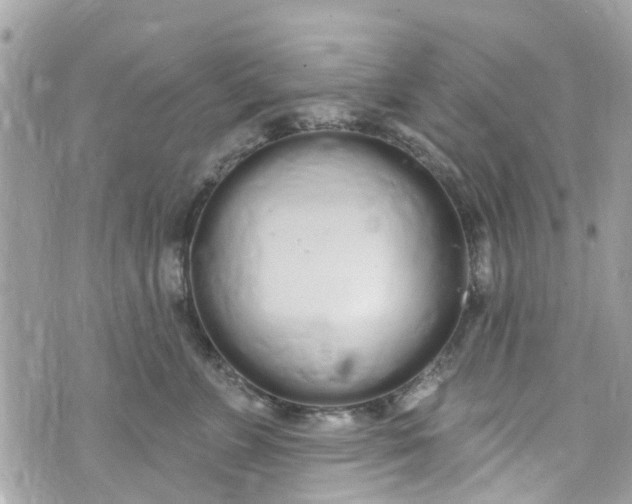 X0000072990715200608111807