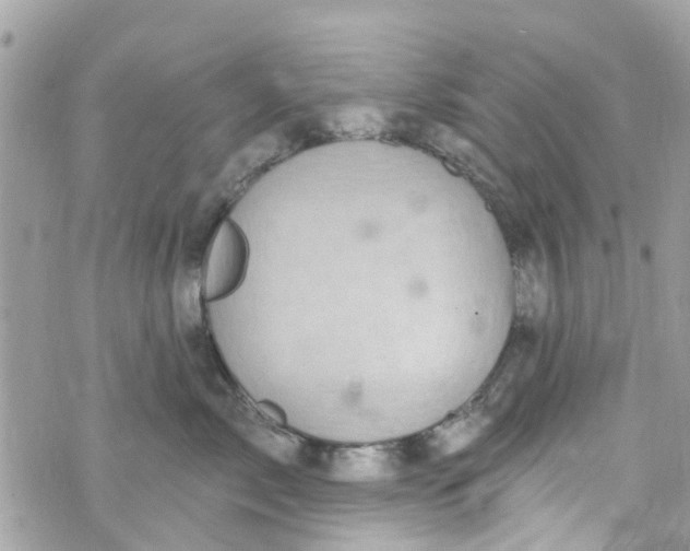 X0000072990717200608111807