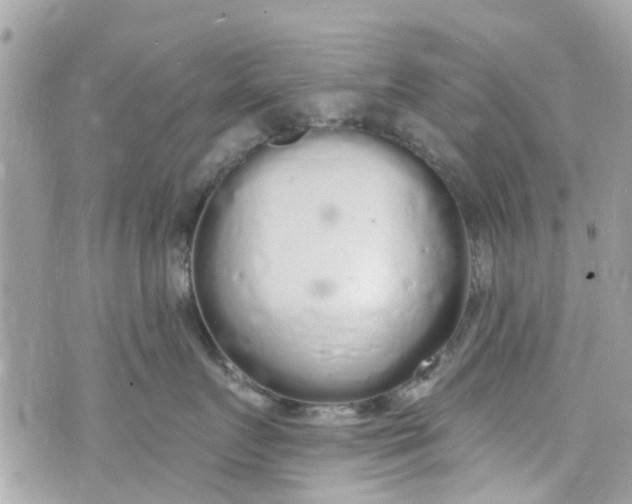 X0000072990719200608111807