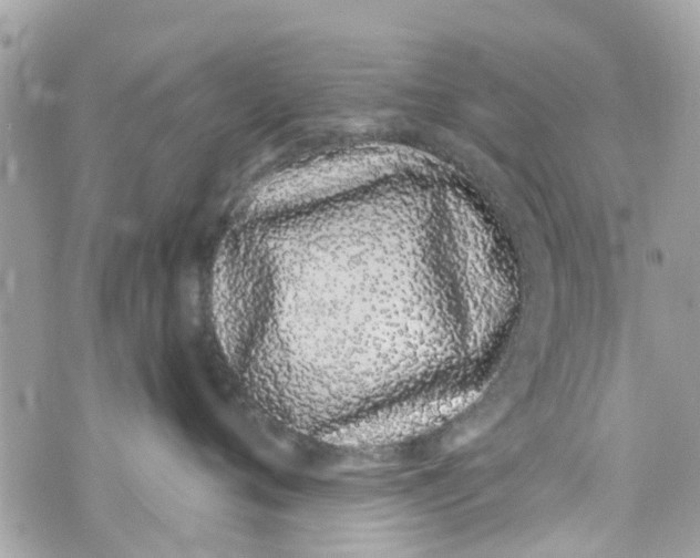 X0000072990720200608111807