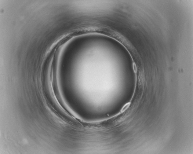 X0000072990722200608111806