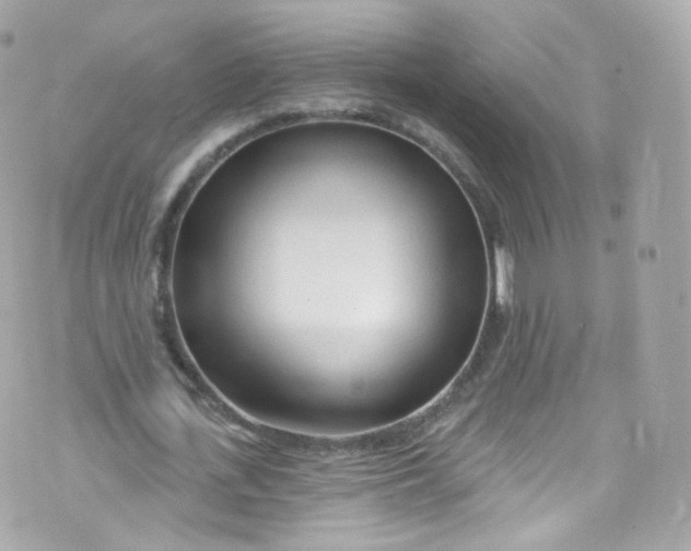 X0000072990723200608111806