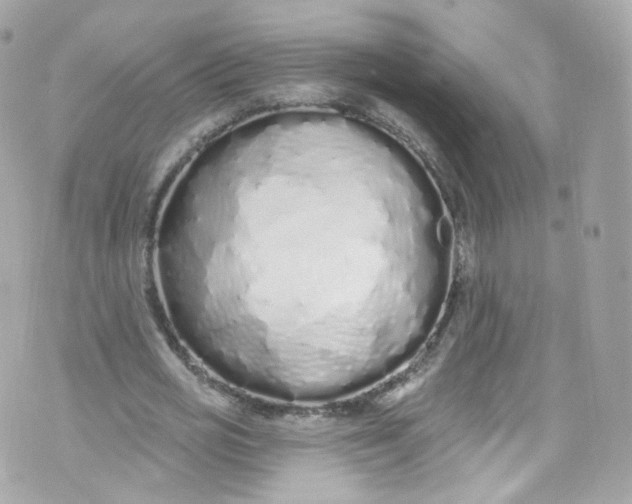 X0000072990725200608111806