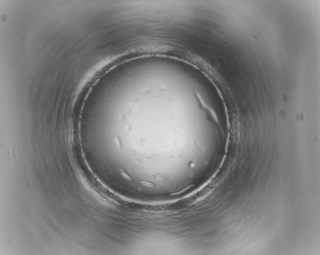 X0000072990726200608111806