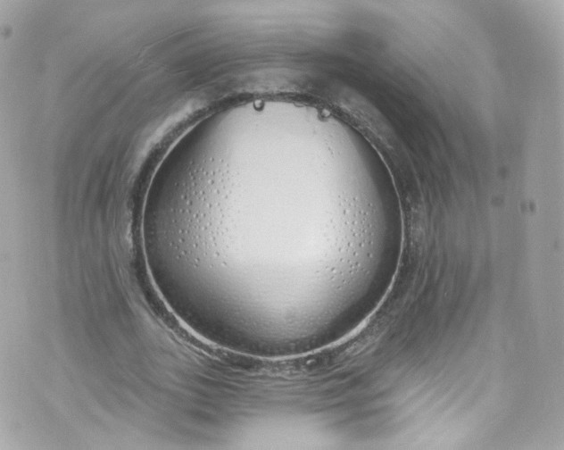 X0000072990727200608111806