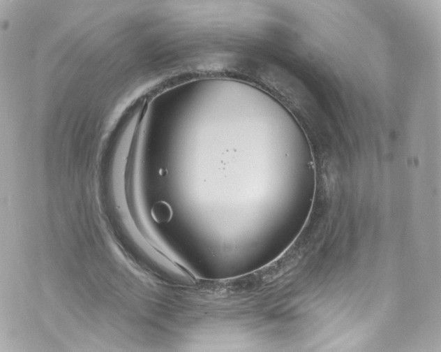 X0000072990728200608111806