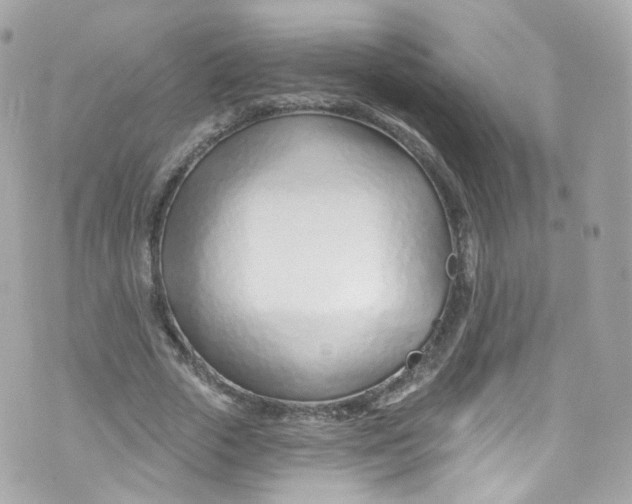 X0000072990729200608111806