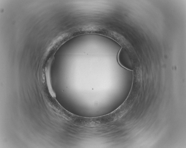 X0000072990731200608111806