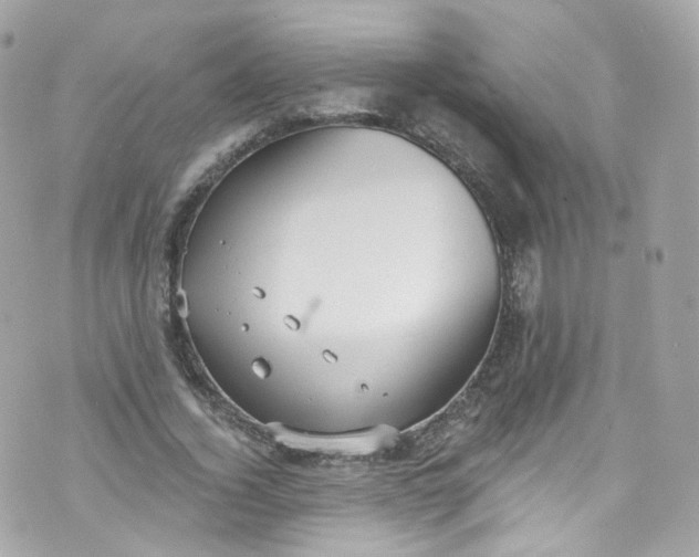 X0000072990732200608111806