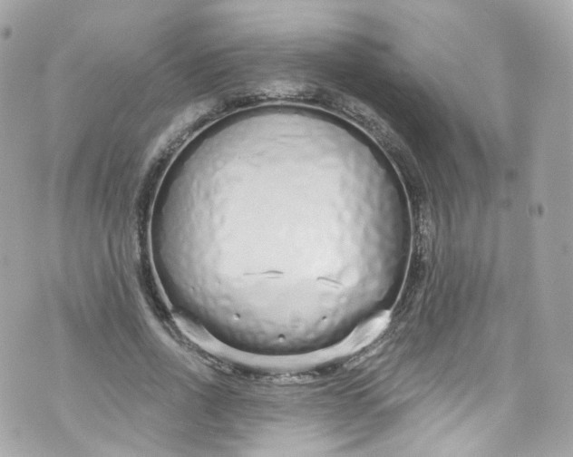 X0000072990734200608111806