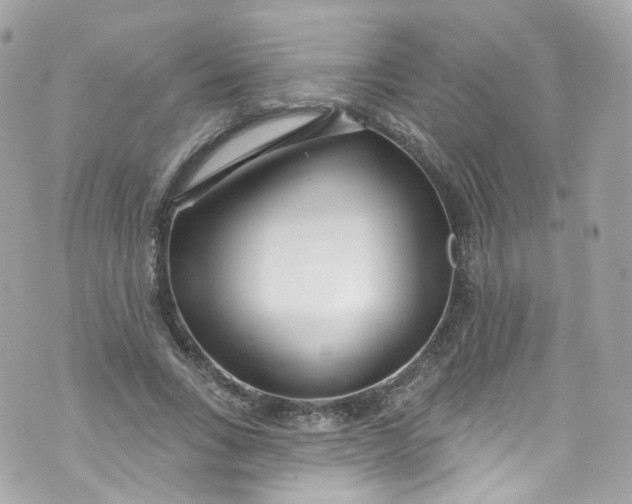 X0000072990735200608111806