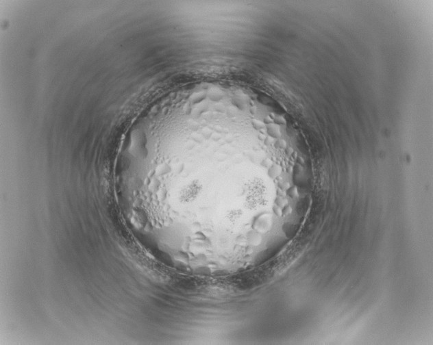 X0000072990737200608111806