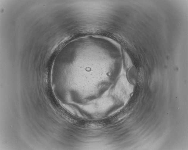 X0000072990739200608111806