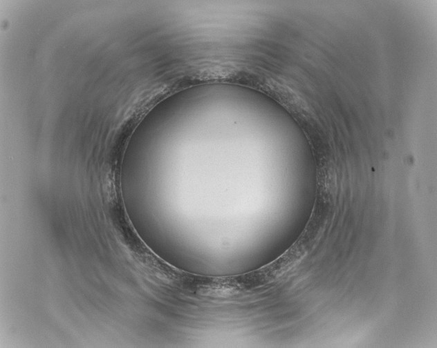 X0000072990743200608111806