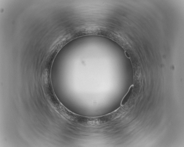 X0000072990744200608111806