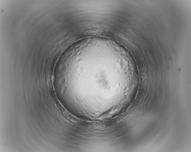 X0000072990745200608111806