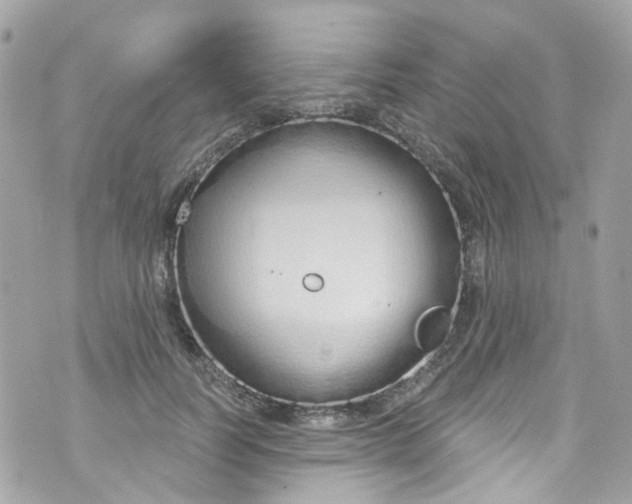 X0000072990746200608111806