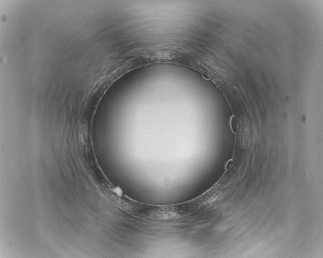 X0000072990747200608111806