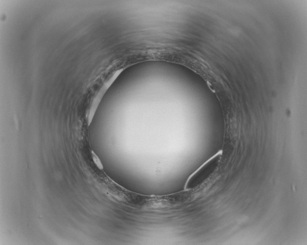 X0000072990750200608111806