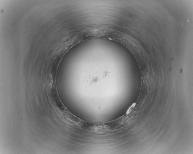 X0000072990752200608111807