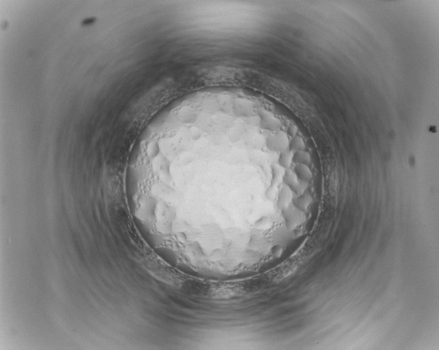 X0000072990753200608111807